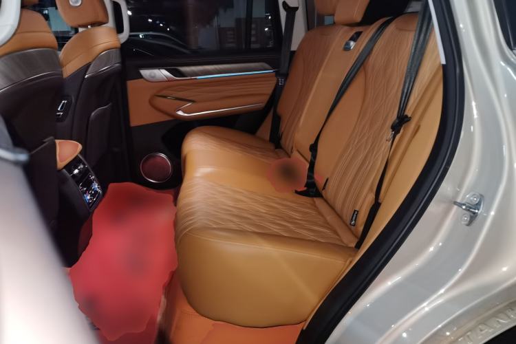 Used Tank 500 2022 3.0T Business Edition "Creation Realm" Design 5-Seater Left Rear Seat