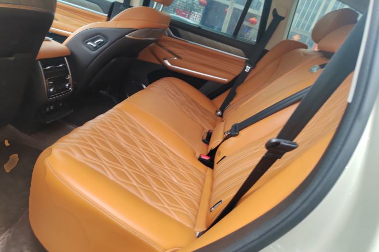 Used Tank 500 2022 3.0T Sport Edition "Creation" Version 5-Seater Left Rear Seat