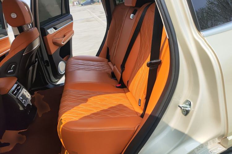 Used Tank 500 2022 3.0T Business Edition "Creation Realm" Design 5-Seater Left Rear Seat