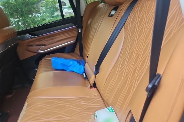 Used Tank 500 2022 3.0T Business Edition "Creation Realm" Design 5-Seater Left Rear Seat