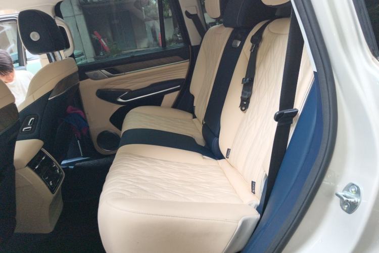 Used Tank 500 2022 3.0T Sport Edition "Creation" Version 5-Seater Left Rear Seat