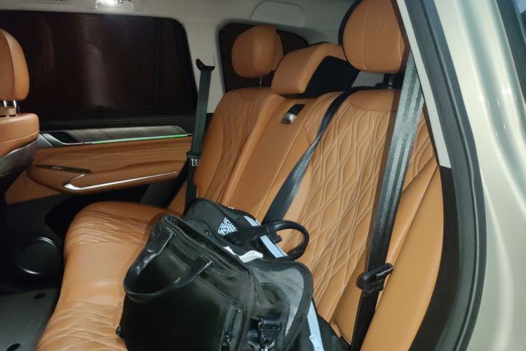 Used Tank 500 2022 3.0T Business Edition "Creation Realm" Design 5-Seater Left Rear Seat