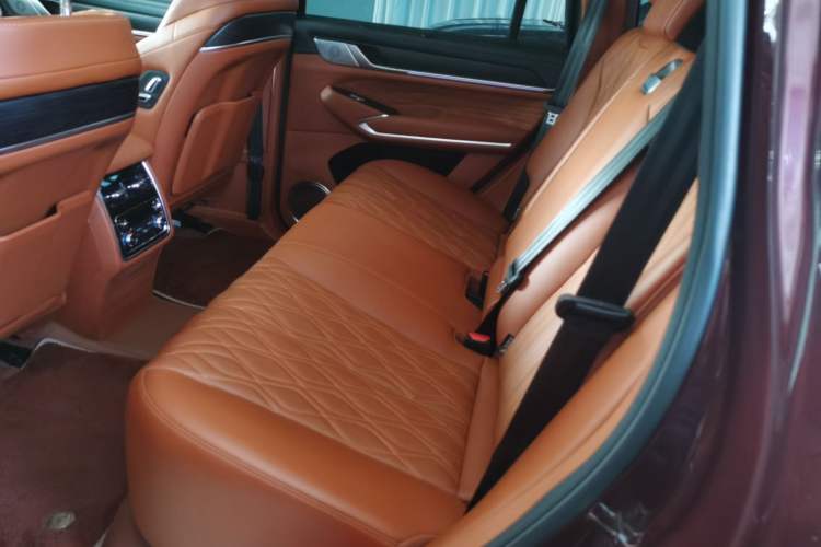 Used Tank 500 2022 3.0T High-End Custom Edition 5 Seats Left Rear Seat
