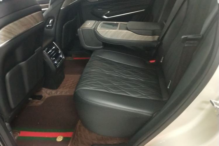 Used Tank 500 2022 3.0T Sport Edition "Creation" Version 5-Seater Left Rear Seat