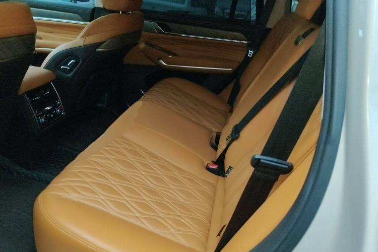 Used Tank 500 2022 3.0T Sport Edition "Creation" Version 5-Seater Left Rear Seat