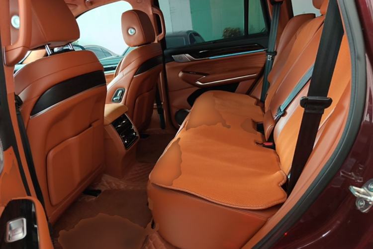 Used Tank 500 2022 3.0T High-End Custom Edition 5 Seats Left Rear Seat