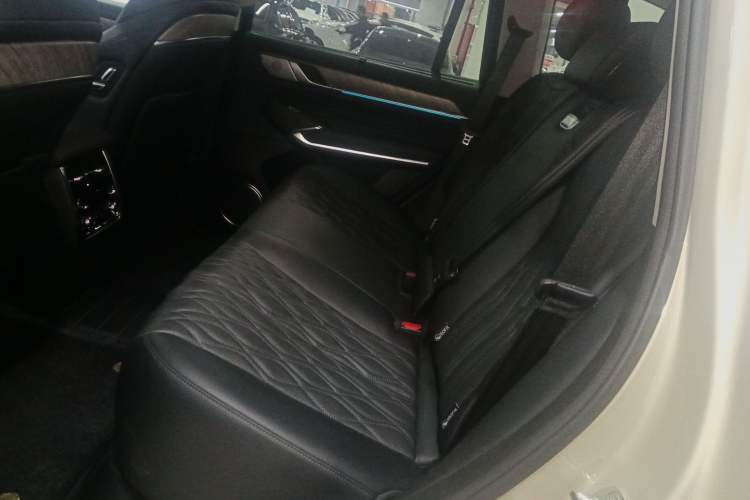 Used Tank 500 2022 3.0T Business Edition "Creation Realm" Design 5-Seater Left Rear Seat