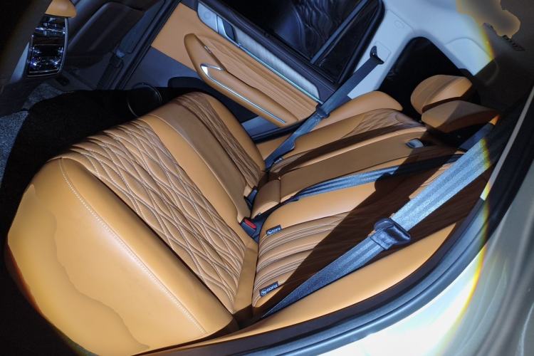 Used Tank 500 2022 3.0T Business Edition "Creation Realm" Design 5-Seater Left Rear Seat