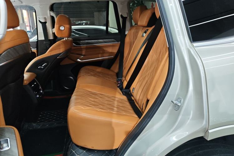 Used Tank 500 2022 3.0T Business Edition "Creation Realm" Design 5-Seater Left Rear Seat