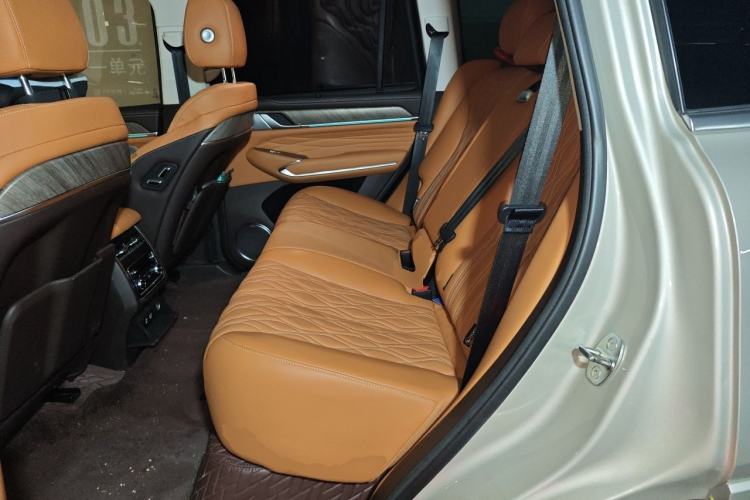 Used Tank 500 2022 3.0T Business Edition "Creation Realm" Design 5-Seater Left Rear Seat