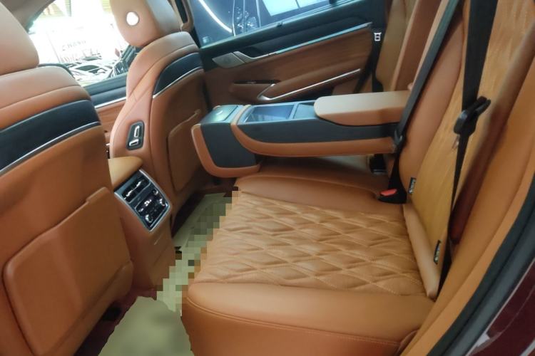 Used Tank 500 2022 3.0T High-End Custom Edition 5 Seats Left Rear Seat