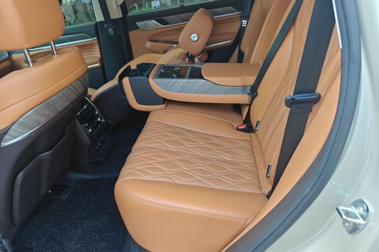 Used Tank 500 2022 3.0T Sport Edition "Creation" Version 5-Seater Left Rear Seat