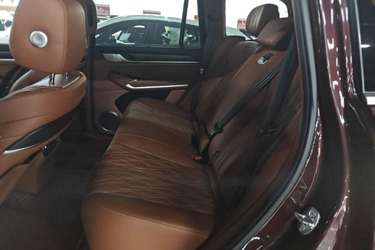 Used Tank 500 2022 3.0T High-End Custom Edition 5 Seats Left Rear Seat