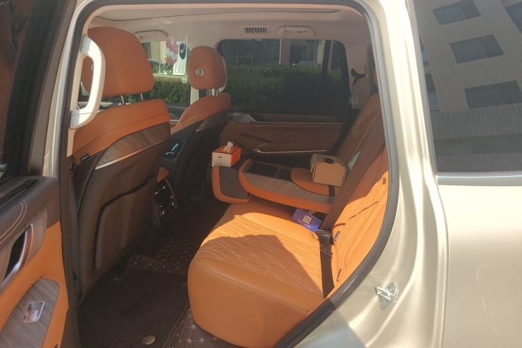 Used Tank 500 2022 3.0T Sport Edition "Creation" Version 5-Seater Left Rear Seat