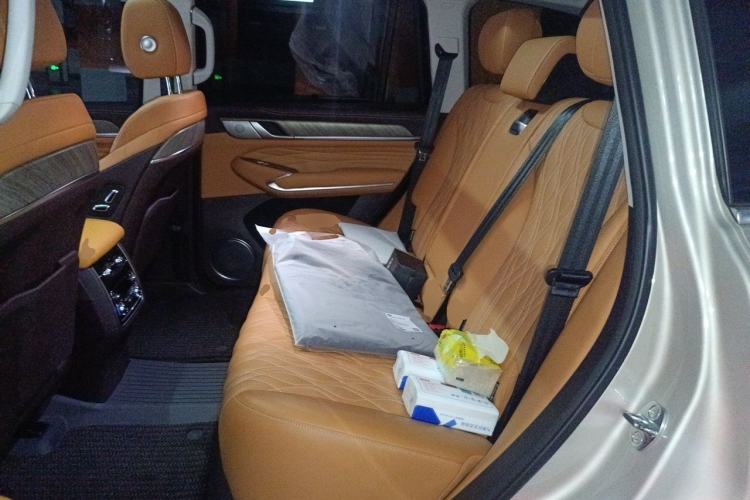 Used Tank 500 2022 3.0T Business Edition "Creation Realm" Design 5-Seater Left Rear Seat