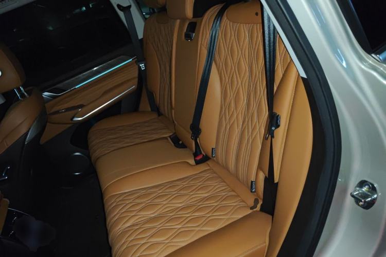 Used Tank 500 2022 3.0T Business Edition "Creation Realm" Design 5-Seater Left Rear Seat
