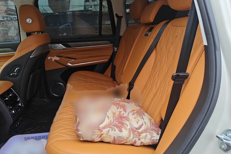 Used Tank 500 2022 3.0T Business Edition "Creation Realm" Design 5-Seater Left Rear Seat