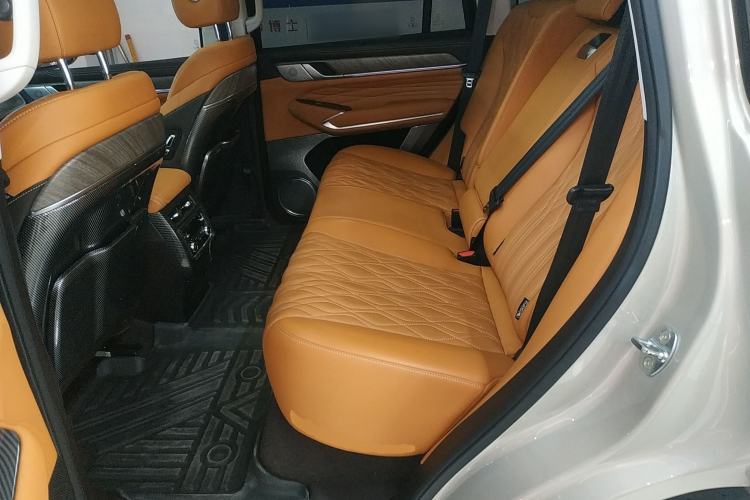 Used Tank 500 2022 3.0T Business Edition "Creation Realm" Design 5-Seater Left Rear Seat
