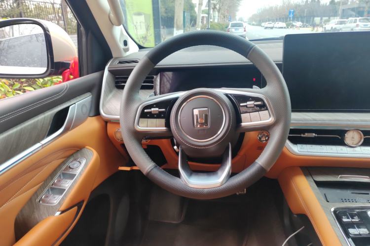 Used Tank 500 2022 3.0T Sport Edition "Creation" Version 5-Seater Steering Wheel