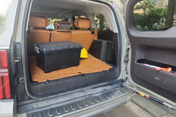 Used Tank 500 2022 3.0T Business Edition "Creation Realm" Design 5-Seater Trunk
