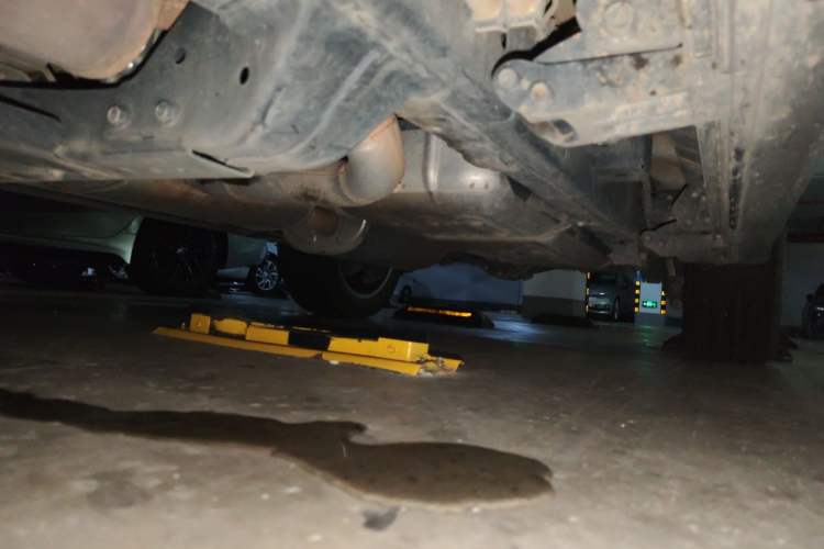 Used Tank 500 2023 3.0T Sport Edition Realm-Setting 5-Seater Chassis Front Left