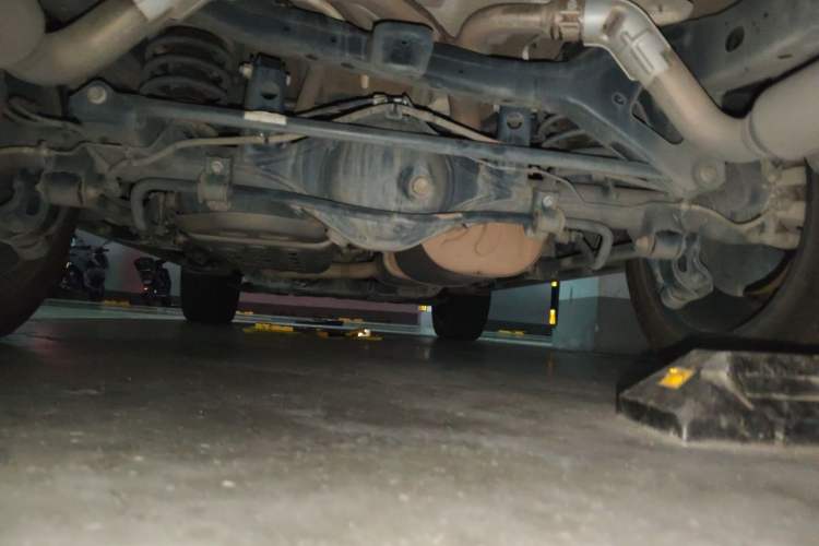 Used Tank 500 2023 3.0T Sport Edition Realm-Setting 5-Seater Chassis Rear