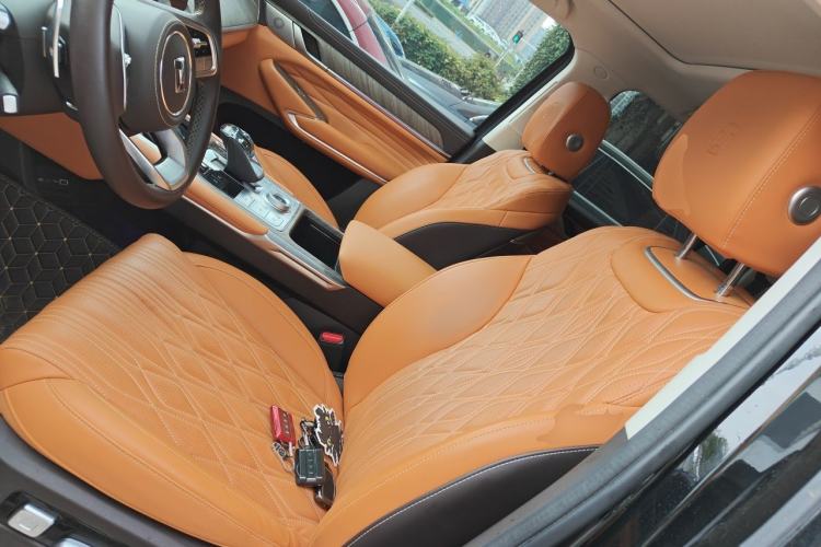 Used Tank 500 2023 3.0T Sport Edition Realm-Setting 5-Seater Left Front Seat