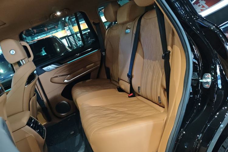 Used Tank 500 2023 3.0T Sport Edition Summit Model 5-Seater Left Rear Seat