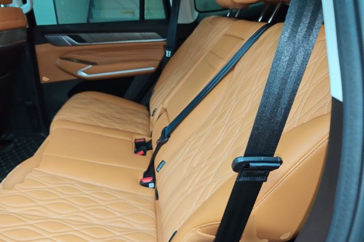 Used Tank 500 2023 3.0T Business Edition Realm-Setting 7-Seater Left Rear Seat