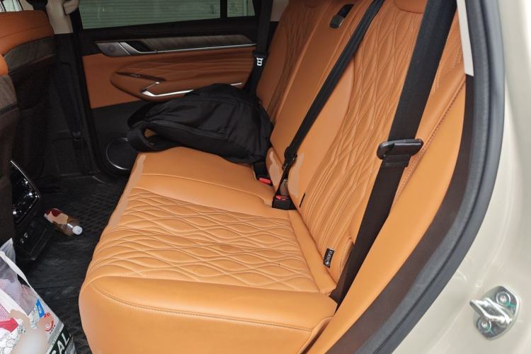 Used Tank 500 2023 3.0T Business Edition "Creation" Style 5 Seats Left Rear Seat