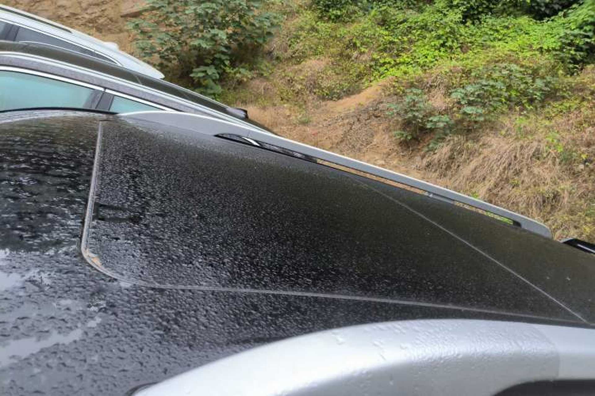 Used Tank 500 2023 3.0T Sport Edition Realm-Setting 5-Seater Roof