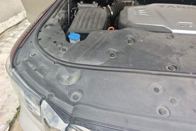 Used Tank 500 2023 3.0T Special Custom Edition 5 Seats Engine Bay Right