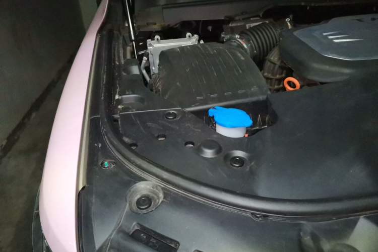 Used Tank 500 2023 3.0T Sport Edition Realm-Setting 5-Seater Engine Bay Right