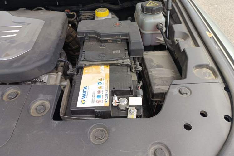Used Tank 500 2023 3.0T Sport Edition Realm-Setting 5-Seater Engine Bay Left