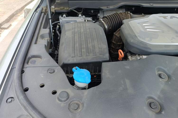 Used Tank 500 2023 3.0T Sport Edition Realm-Setting 5-Seater Engine Bay Right