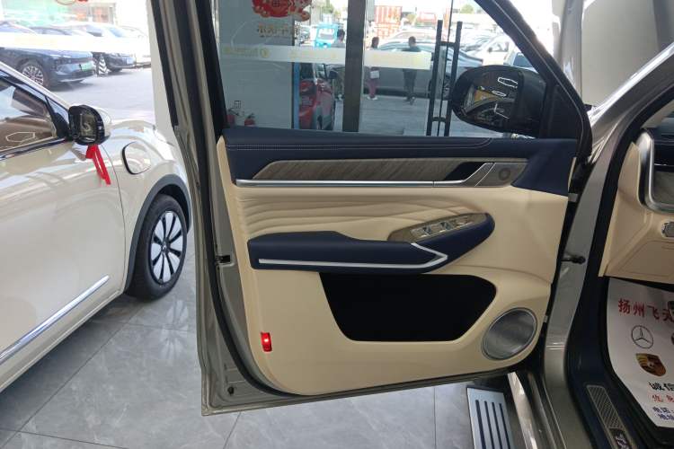 Used Tank 500 2023 3.0T Business Edition "Creation" Style 5 Seats Left Front Door Interior