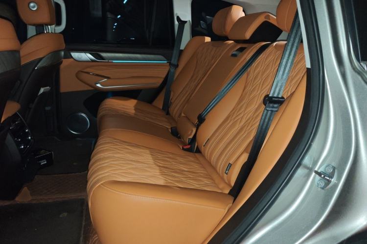 Used Tank 500 2023 3.0T Business Edition "Creation" Style 5 Seats Left Rear Seat