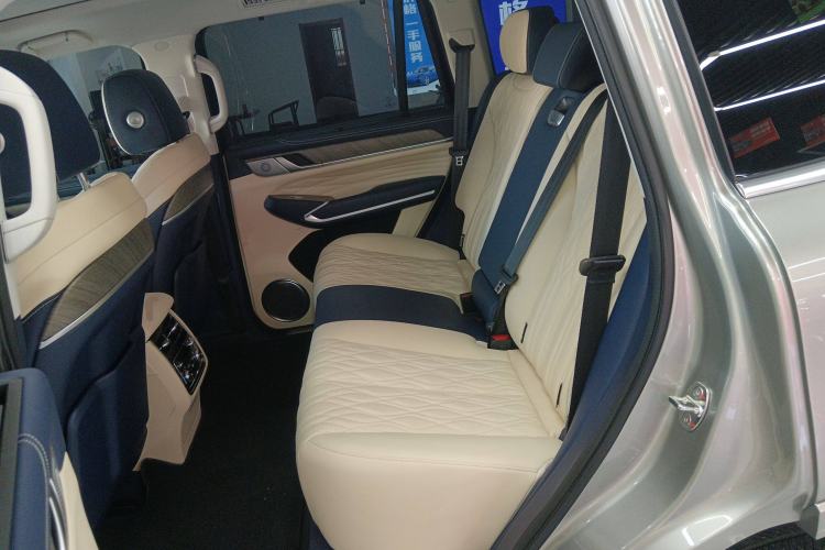 Used Tank 500 2023 3.0T Business Edition "Creation" Style 5 Seats Left Rear Seat