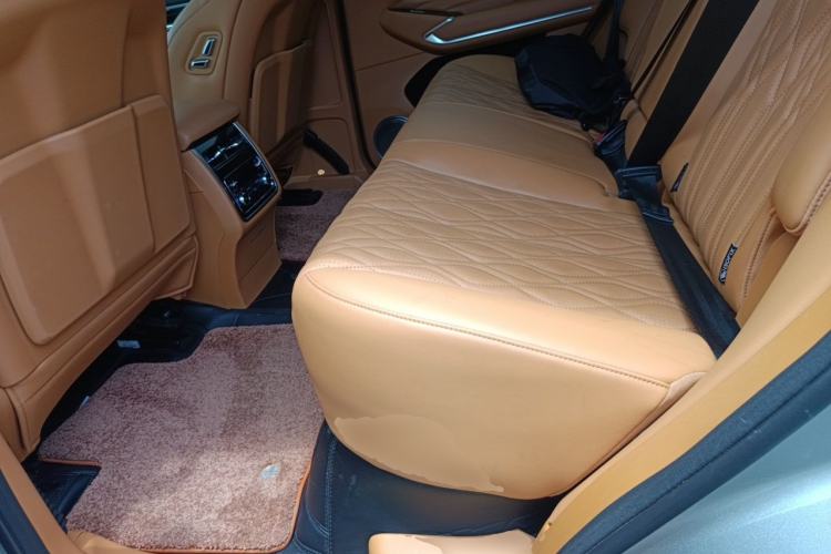 Used Tank 500 2023 3.0T Sport Edition Realm-Setting 5-Seater Left Rear Seat