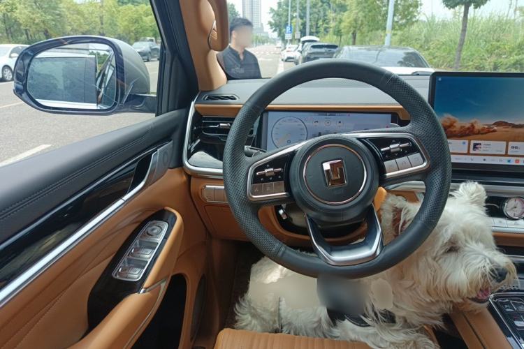 Used Tank 500 2023 3.0T Sport Edition Realm-Setting 5-Seater Steering Wheel