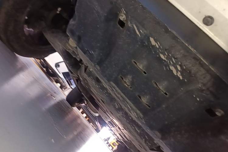 Used Tank 500 2023 3.0T Sport Edition Realm-Setting 5-Seater Chassis Front