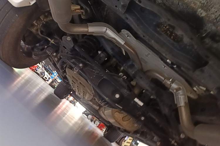 Used Tank 500 2023 3.0T Sport Edition Realm-Setting 5-Seater Chassis Rear