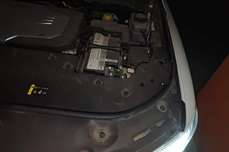 Used Tank 500 2023 3.0T Sport Edition Realm-Setting 5-Seater Engine Bay Left