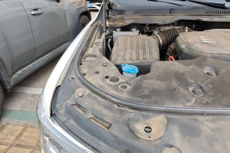 Used Tank 500 2023 3.0T Sport Edition Realm-Setting 5-Seater Engine Bay Right