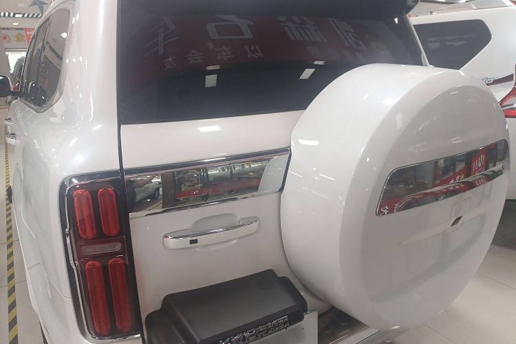 Used Tank 500 2023 3.0T Sport Edition Realm-Setting 5-Seater Exterior 4