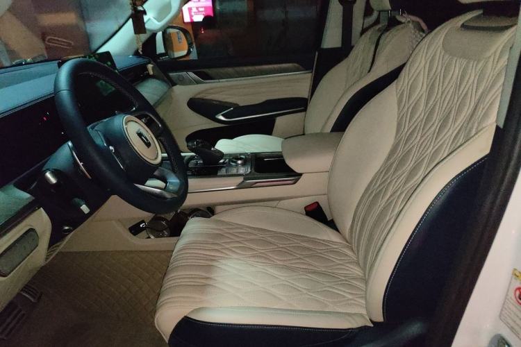 Used Tank 500 2023 3.0T Business Edition "Creation" Style 5 Seats Left Front Seat