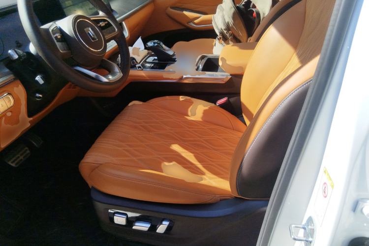 Used Tank 500 2023 3.0T Business Edition "Creation" Style 5 Seats Left Front Seat