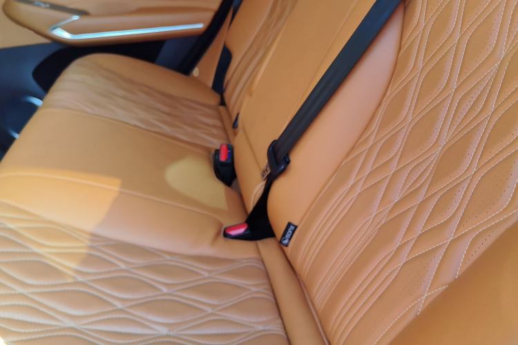 Used Tank 500 2023 3.0T Sport Edition Summit Model 5-Seater Left Rear Seat