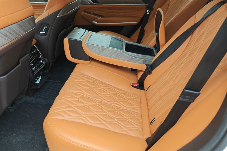 Used Tank 500 2023 3.0T Business Edition "Creation" Style 5 Seats Left Rear Seat