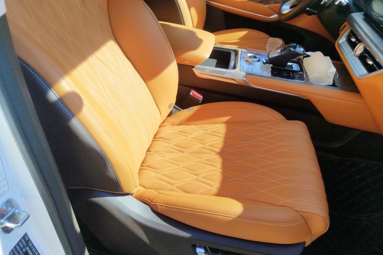 Used Tank 500 2023 3.0T Business Edition "Creation" Style 5 Seats Right Front Seat